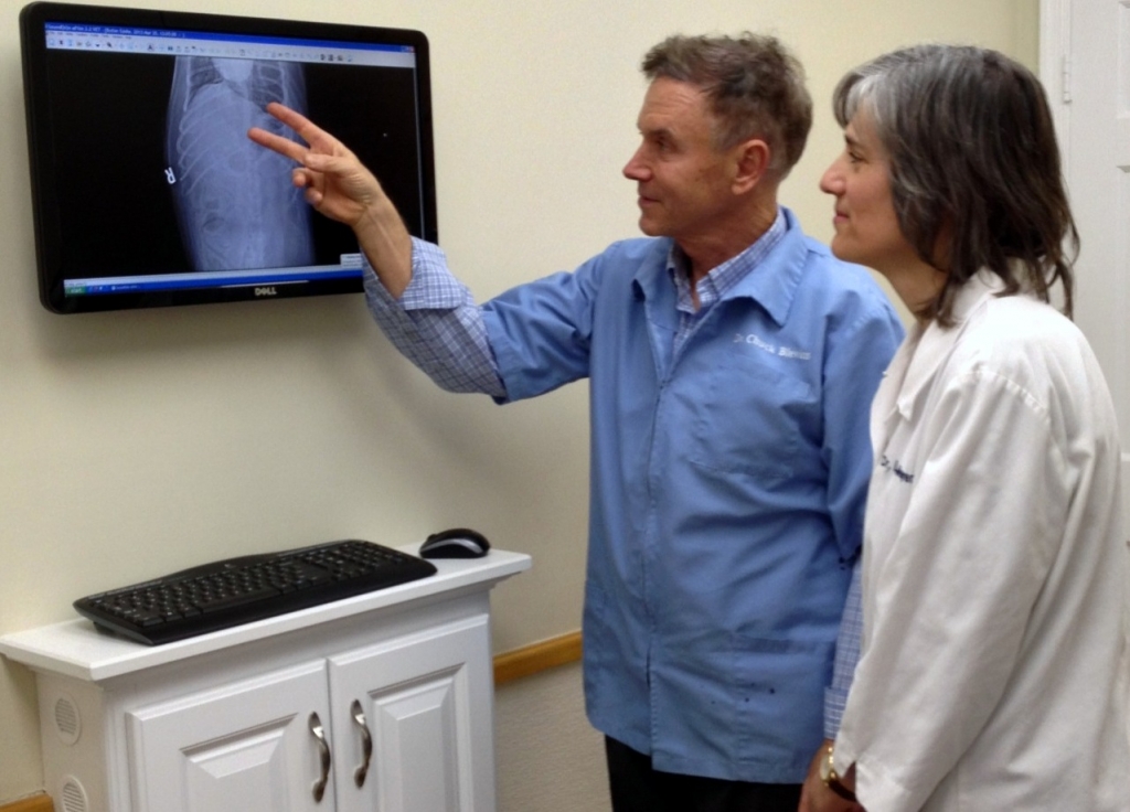 Dr. Blevins and Dr. Megremis Reviewing a Radiography