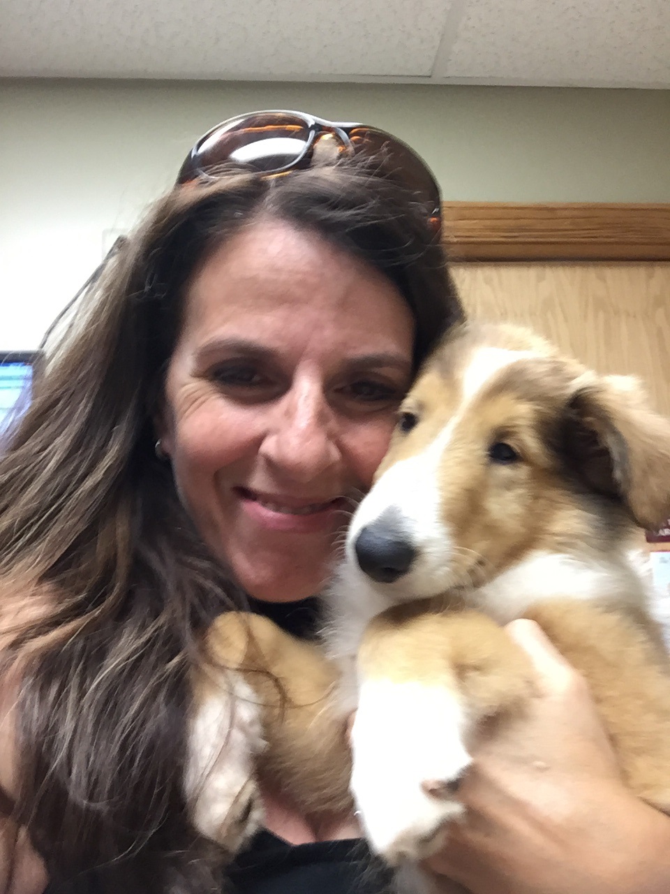 Oakton-Vienna Veterinary Hospital - Vienna, VA - Our bookkeeper Linda Oakton-Vienna Veterinary Hospital - Vienna, VA - Our bookkeeper Linda