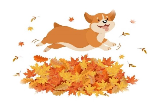 Dog jumping in leaves