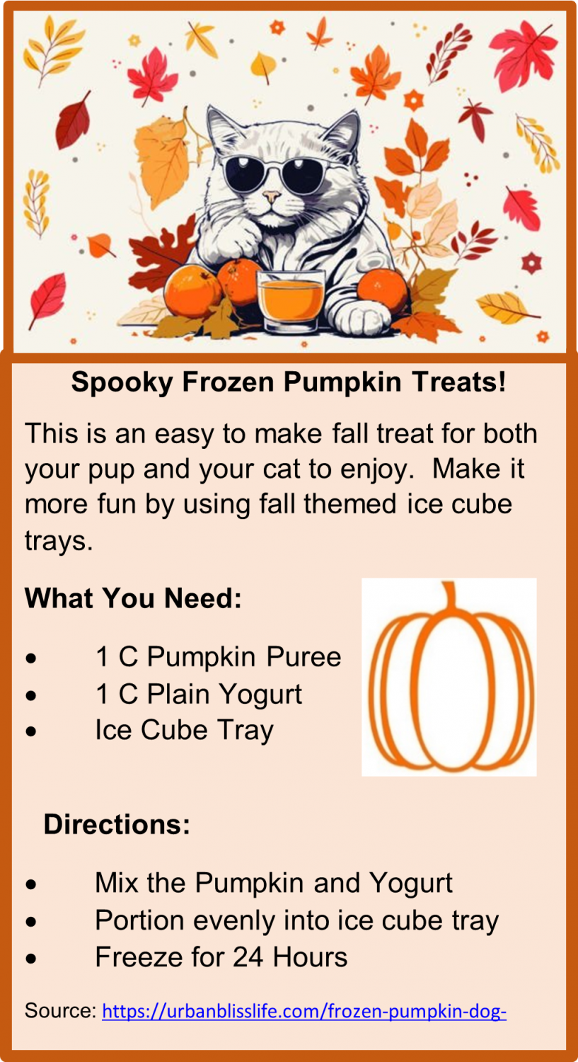 Pumpkin treat recipe