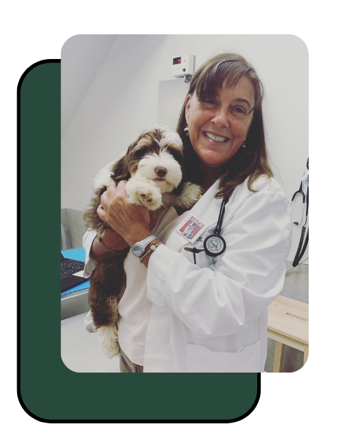 Dr. Jackie Jones Dr. Jackie Jones