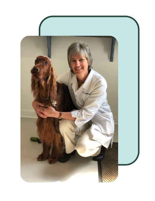 Dr. Lydia Megremis Dr. Lydia Megremis
