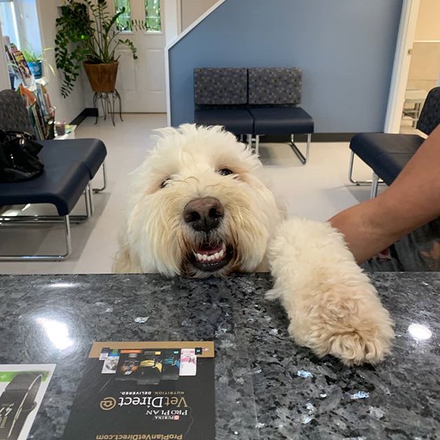 Patient with Desk