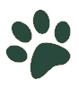 Paw Print