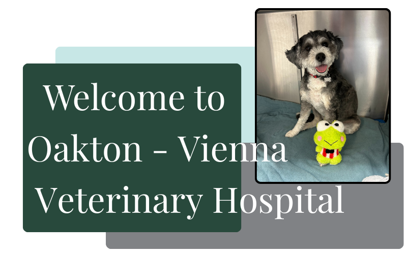 Welcome to Oakton-Vienna Veterinary Hospital