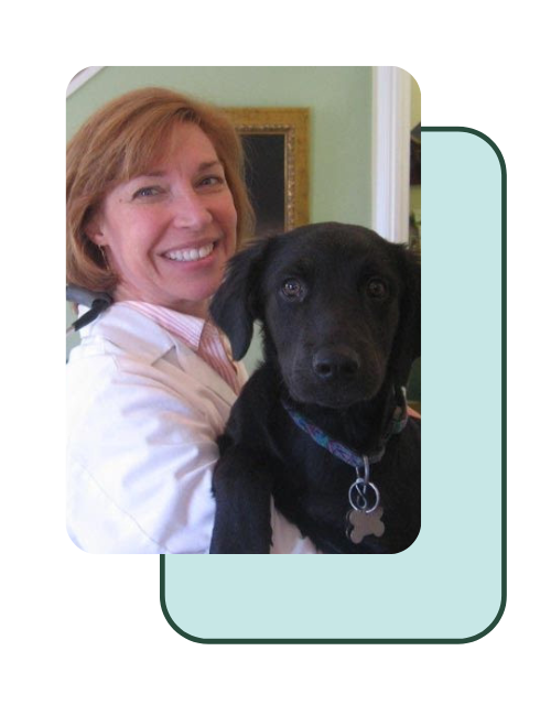 Dr. Diane Heinz: Dr. Diane Heinz: